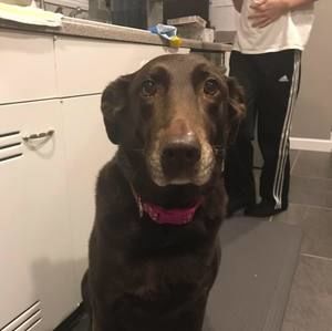 Meet your Posher, Dave